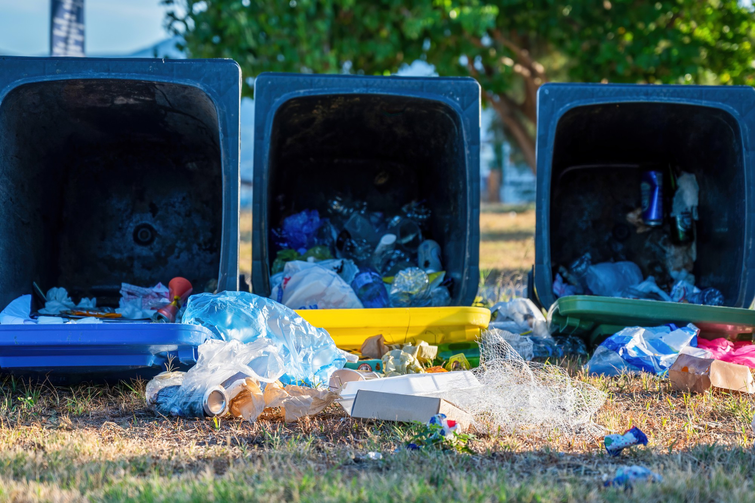 Junk Removal Suffolk County